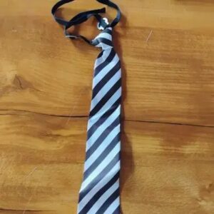 School tie blue colour
